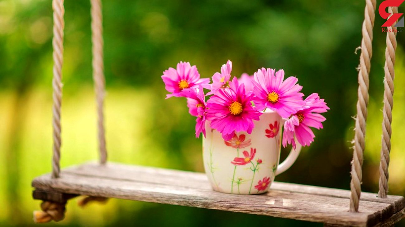هزینه عملهای زیبایی